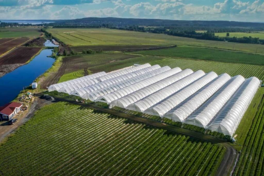 FNE Agronegócio: Financiamento de Estruturas de Armazenamento e Irrigação Inteligente no MATOPIBA